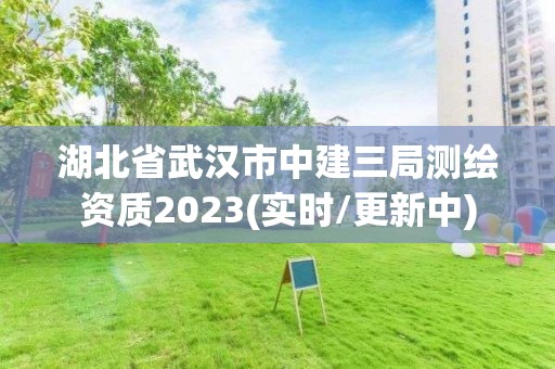 湖北省武漢市中建三局測繪資質2023(實時/更新中)