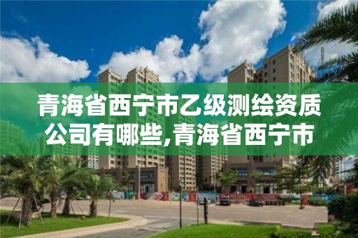 青海省西寧市乙級測繪資質公司有哪些,青海省西寧市乙級測繪資質公司有哪些單位