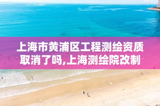 上海市黃浦區工程測繪資質取消了嗎,上海測繪院改制