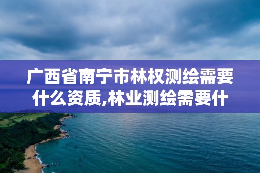 廣西省南寧市林權(quán)測繪需要什么資質(zhì),林業(yè)測繪需要什么資質(zhì)。