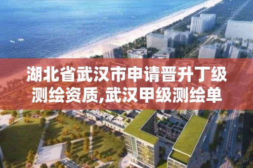 湖北省武漢市申請晉升丁級測繪資質,武漢甲級測繪單位