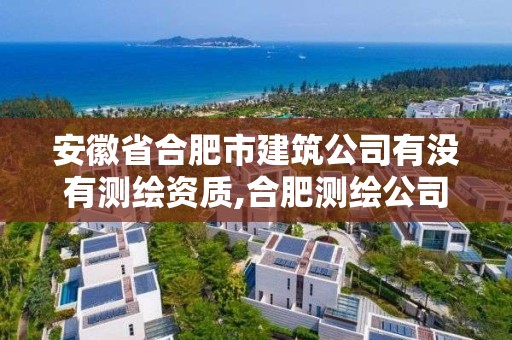 安徽省合肥市建筑公司有沒有測繪資質,合肥測繪公司招聘。