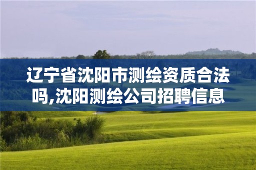 遼寧省沈陽市測繪資質合法嗎,沈陽測繪公司招聘信息最新招聘