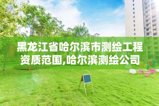 黑龍江省哈爾濱市測繪工程資質范圍,哈爾濱測繪公司哪家好