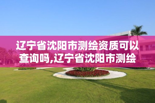 遼寧省沈陽市測繪資質可以查詢嗎,遼寧省沈陽市測繪資質可以查詢嗎現在