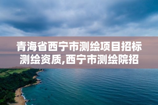 青海省西寧市測繪項目招標測繪資質,西寧市測繪院招聘公示