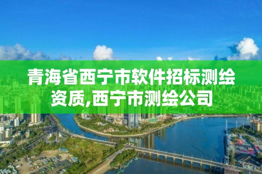 青海省西寧市軟件招標(biāo)測繪資質(zhì),西寧市測繪公司