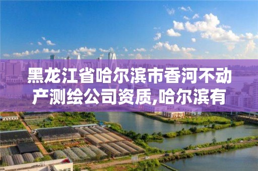 黑龍江省哈爾濱市香河不動產測繪公司資質,哈爾濱有資質房屋測量公司。