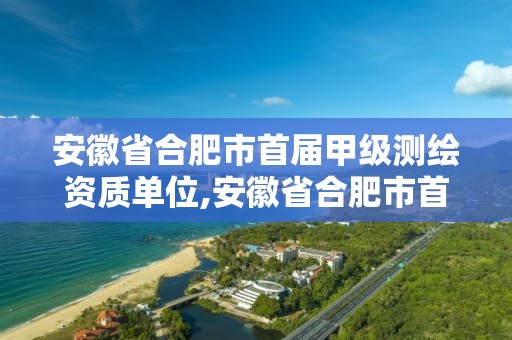 安徽省合肥市首屆甲級測繪資質單位,安徽省合肥市首屆甲級測繪資質單位名單。