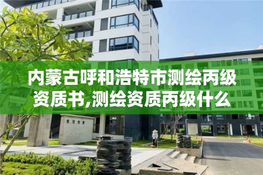 內蒙古呼和浩特市測繪丙級資質書,測繪資質丙級什么意思