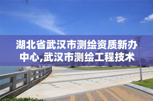 湖北省武漢市測繪資質新辦中心,武漢市測繪工程技術規定