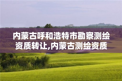 內(nèi)蒙古呼和浩特市勘察測繪資質(zhì)轉(zhuǎn)讓,內(nèi)蒙古測繪資質(zhì)代辦