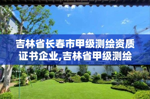 吉林省長春市甲級測繪資質證書企業,吉林省甲級測繪資質單位。