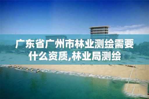 廣東省廣州市林業(yè)測(cè)繪需要什么資質(zhì),林業(yè)局測(cè)繪