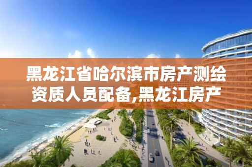 黑龍江省哈爾濱市房產測繪資質人員配備,黑龍江房產測繪收費標準依據