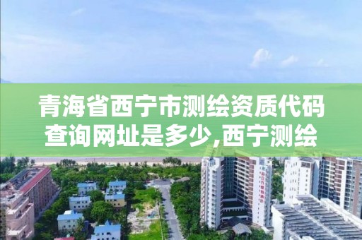 青海省西寧市測繪資質代碼查詢網址是多少,西寧測繪公司。