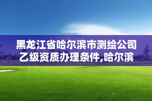 黑龍江省哈爾濱市測繪公司乙級資質辦理條件,哈爾濱測繪局屬于什么單位