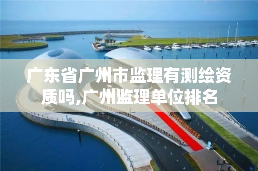 廣東省廣州市監理有測繪資質嗎,廣州監理單位排名