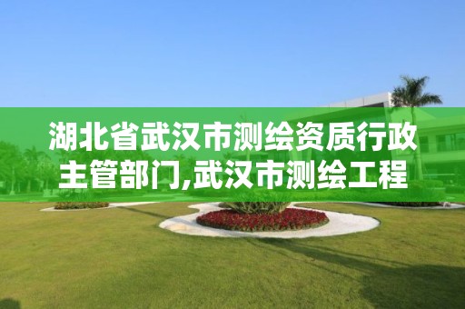 湖北省武漢市測繪資質行政主管部門,武漢市測繪工程技術規定。