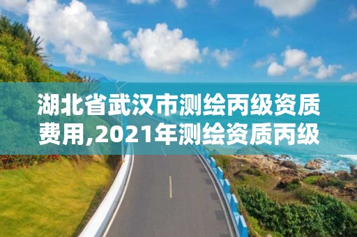 湖北省武漢市測繪丙級資質費用,2021年測繪資質丙級申報條件