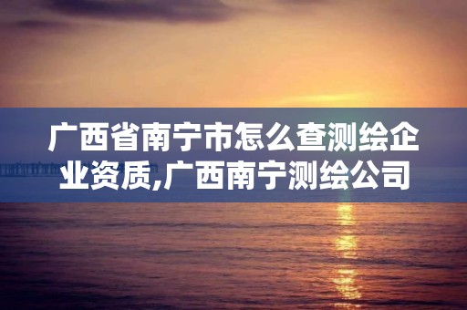 廣西省南寧市怎么查測繪企業資質,廣西南寧測繪公司排名。