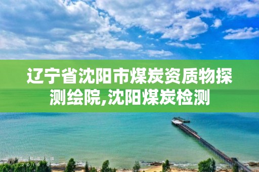 遼寧省沈陽市煤炭資質物探測繪院,沈陽煤炭檢測