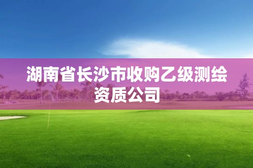 湖南省長沙市收購乙級測繪資質(zhì)公司