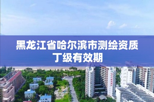 黑龍江省哈爾濱市測繪資質丁級有效期