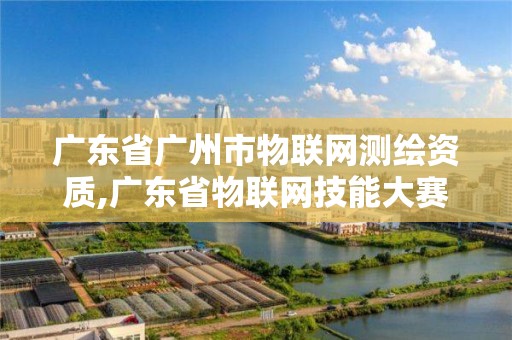 廣東省廣州市物聯網測繪資質,廣東省物聯網技能大賽