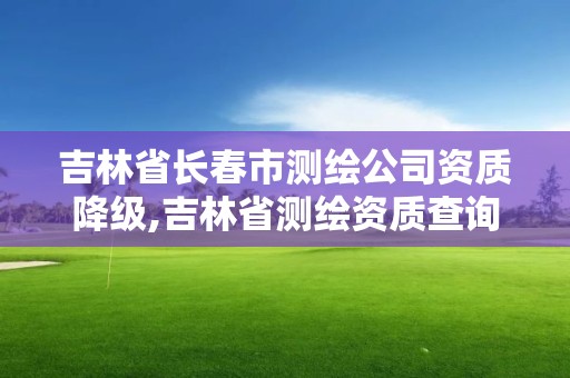 吉林省長春市測繪公司資質降級,吉林省測繪資質查詢