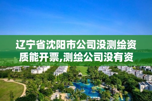 遼寧省沈陽市公司沒測繪資質能開票,測繪公司沒有資質可以開發票嗎