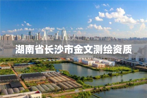 湖南省長沙市金文測繪資質