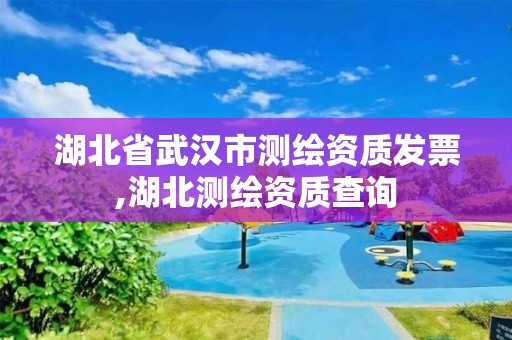 湖北省武漢市測繪資質發票,湖北測繪資質查詢