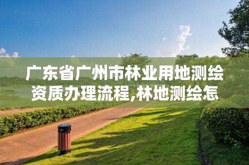 廣東省廣州市林業用地測繪資質辦理流程,林地測繪怎么收費的