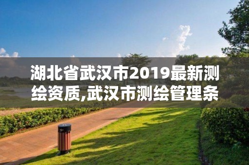 湖北省武漢市2019最新測繪資質,武漢市測繪管理條例