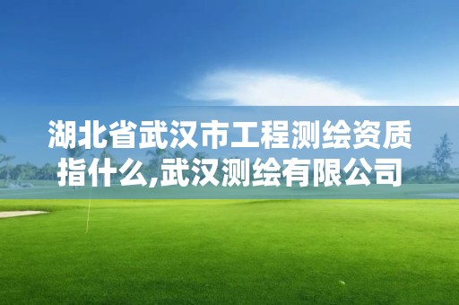 湖北省武漢市工程測繪資質指什么,武漢測繪有限公司