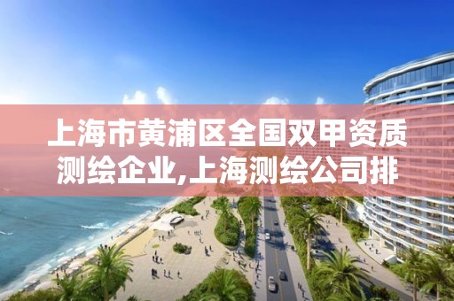 上海市黃浦區全國雙甲資質測繪企業,上海測繪公司排名名單。