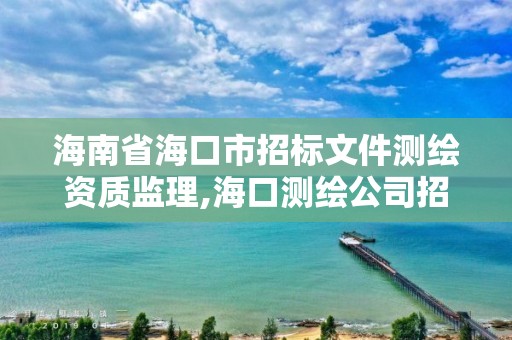 海南省海口市招標文件測繪資質監理,海口測繪公司招聘