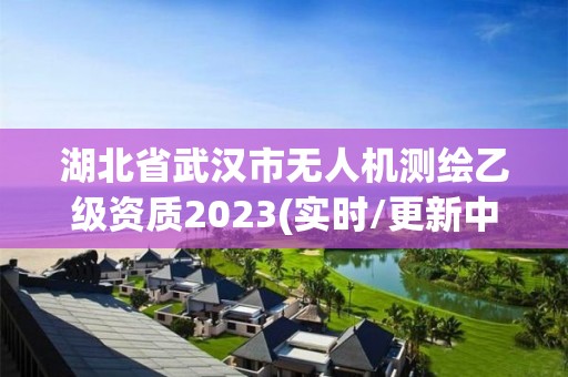 湖北省武漢市無人機測繪乙級資質2023(實時/更新中)