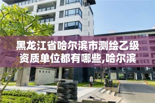 黑龍江省哈爾濱市測繪乙級資質(zhì)單位都有哪些,哈爾濱甲級測繪公司。