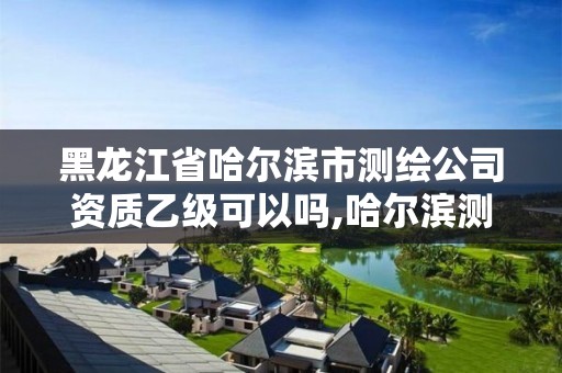 黑龍江省哈爾濱市測繪公司資質乙級可以嗎,哈爾濱測繪局怎么樣。