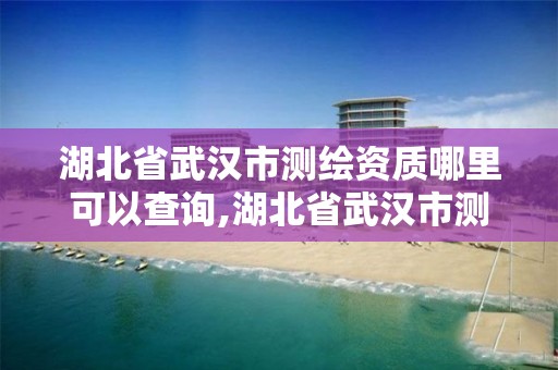 湖北省武漢市測繪資質哪里可以查詢,湖北省武漢市測繪資質哪里可以查詢