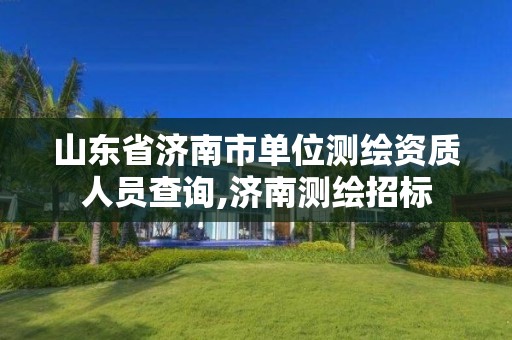 山東省濟南市單位測繪資質人員查詢,濟南測繪招標