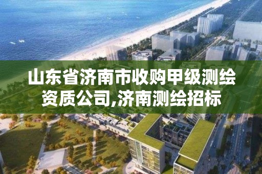 山東省濟南市收購甲級測繪資質公司,濟南測繪招標