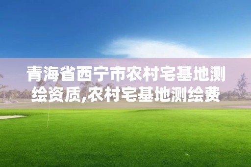 青海省西寧市農村宅基地測繪資質,農村宅基地測繪費用 政府支付。