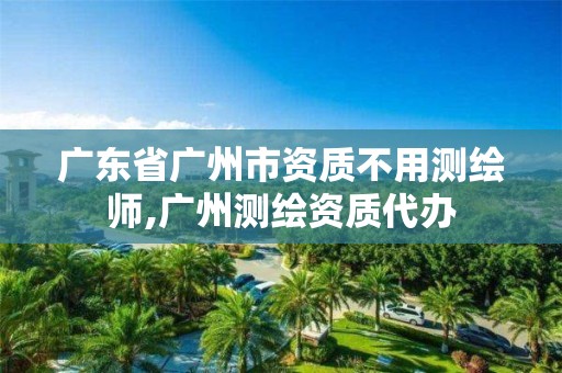 廣東省廣州市資質不用測繪師,廣州測繪資質代辦