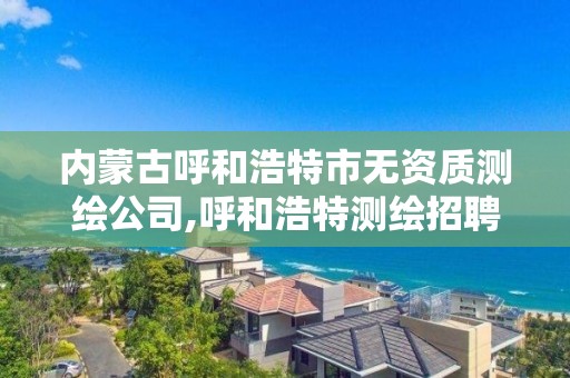 內蒙古呼和浩特市無資質測繪公司,呼和浩特測繪招聘