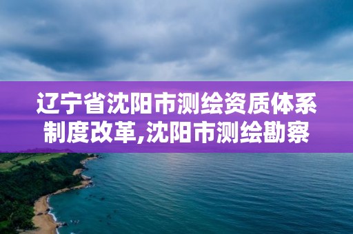 遼寧省沈陽市測繪資質體系制度改革,沈陽市測繪勘察研究院