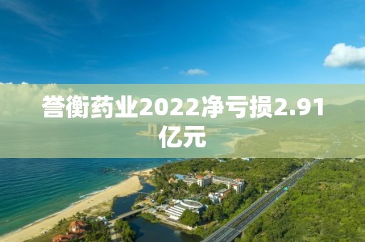 譽(yù)衡藥業(yè)2022凈虧損2.91億元