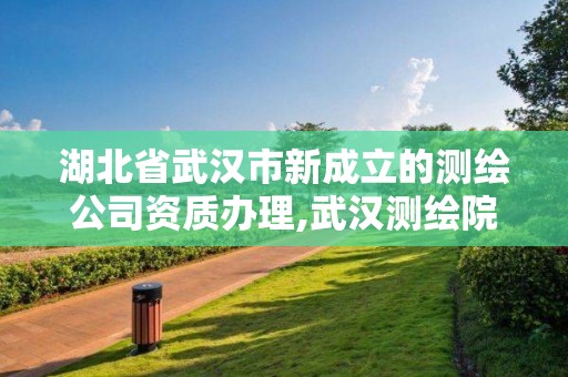 湖北省武漢市新成立的測繪公司資質辦理,武漢測繪院地址。